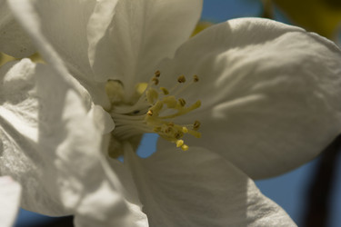 Similar image 6427329