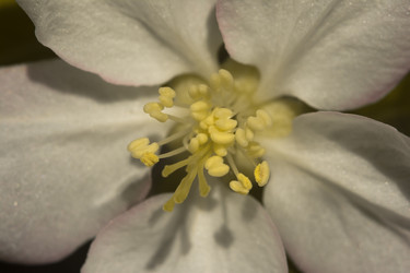 Similar image 6427330