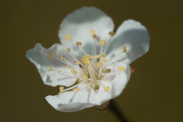 Similar image 6427331