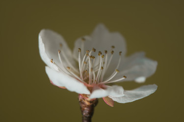 Similar image 6427332