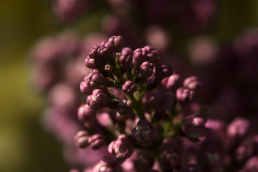 Similar image 6427335