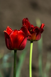 Similar image 6427352