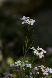 Similar image 6427354