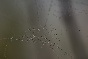 Similar image 6427454