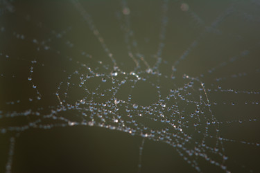 Similar image 6427455