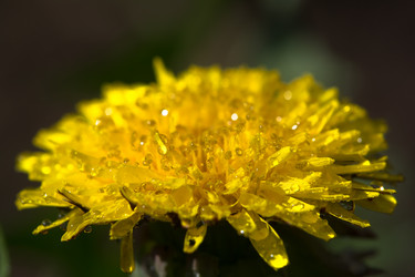 Similar image 6427474