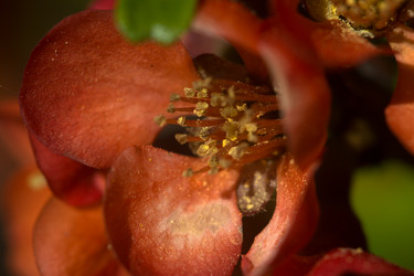 Similar image 6427475