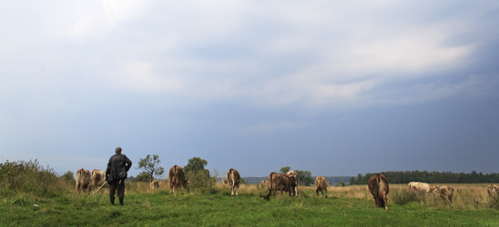 Similar image 6427815