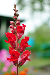 Similar image 6427928