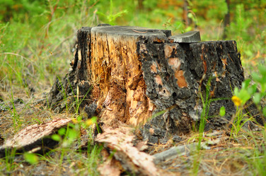 Similar image 6427929