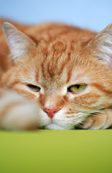 Similar image 6427961