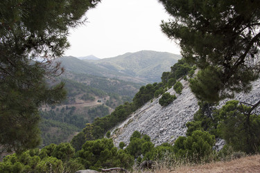 Similar image 6427973