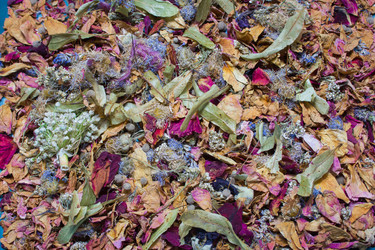 Similar image 6427983