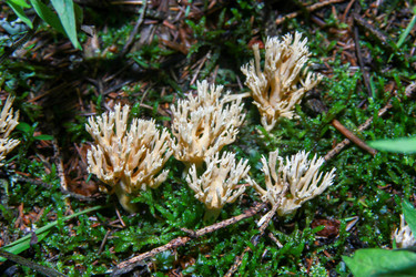 Similar image 6427987