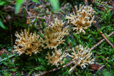 Similar image 6427988