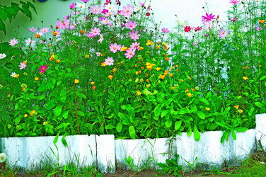 Similar image 6427995