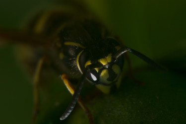 Similar image 6428024