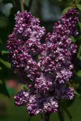 Similar image 6428025