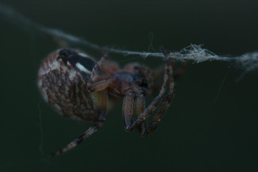 Similar image 6428026