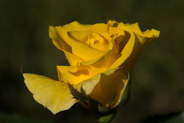 Similar image 6428030