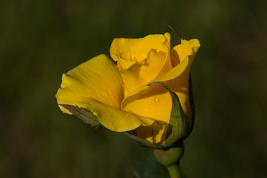 Similar image 6428031