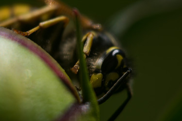 Similar image 6428033