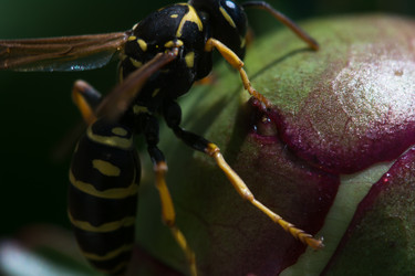 Similar image 6428035