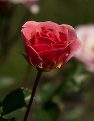 Similar image 6428052