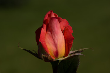 Similar image 6428053