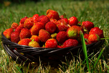 Similar image 6428055