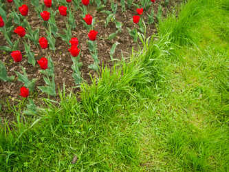 Similar image 6428393