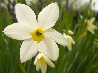 Similar image 6428394