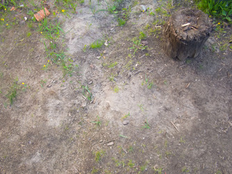 Similar image 6428406