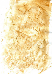 Similar image 6428412