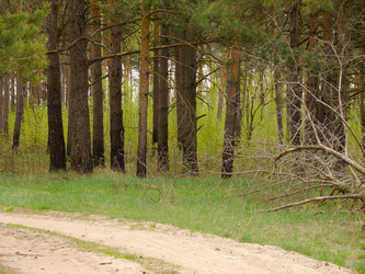 Similar image 6428413