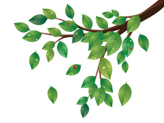 Similar image 6428420