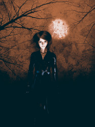 Similar image 6428437