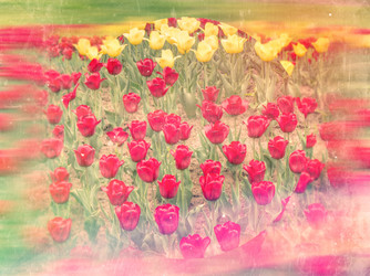 Similar image 6428438