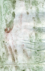 Similar image 6428456