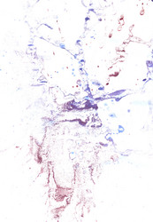 Similar image 6428484