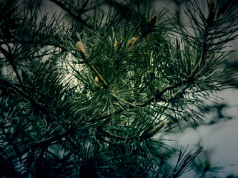 Similar image 6428516