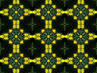 Similar image 6428941