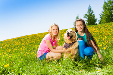 Similar image 6429066