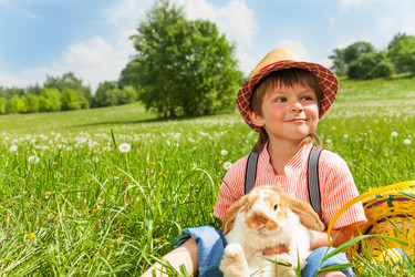 Similar image 6429129