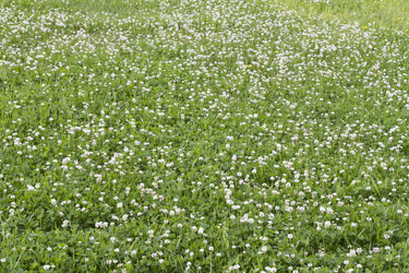 Similar image 6429144