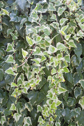 Similar image 6429147