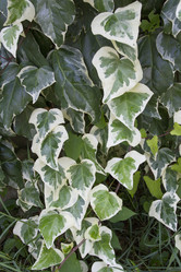 Similar image 6429158