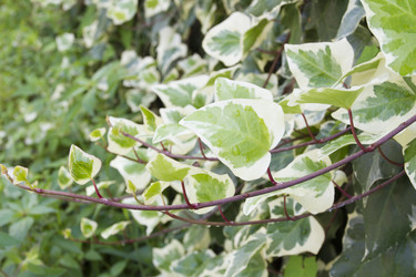 Similar image 6429159