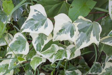 Similar image 6429160