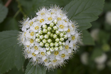 Similar image 6429161